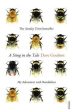 A Sting in the Tale: My Adventures with Bumblebees | O#Science Hot on Sale