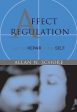 Affect Regulation and the Repair of the Self (Norton Series on Interpersonal Neurobiology) | O#Science Online Sale