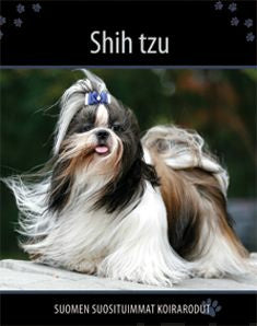 Shih tzu Cheap