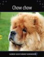 Chow chow Online now