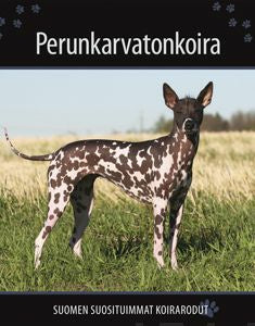 Perunkarvatonkoira Hot on Sale