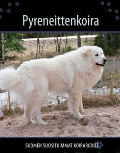 Pyreneittenkoira Fashion