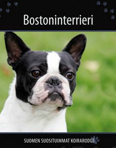 Bostoninterrieri Sale