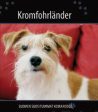 Kromfohrländer Online Sale